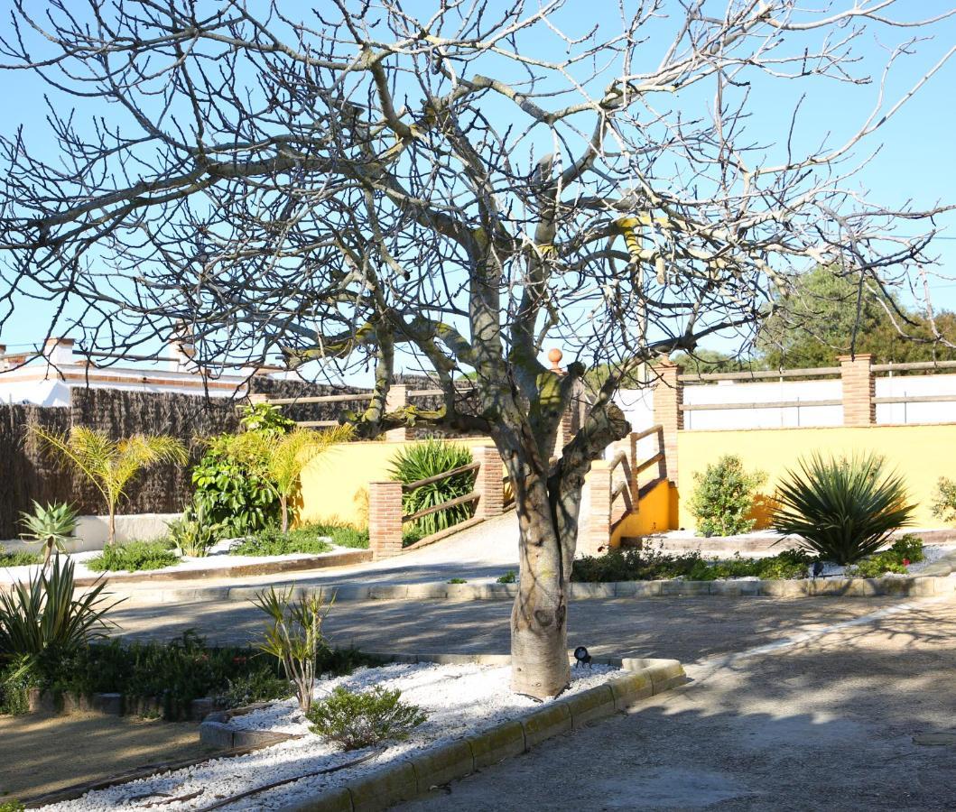 Casas Dibaca By Patria Vejer de la Frontera Exterior foto